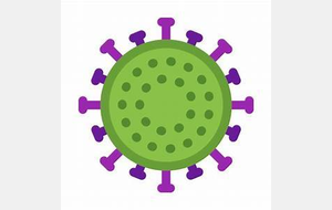 Info Coronavirus 2