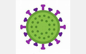 La situation au 8 février 2021