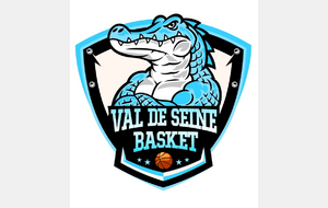 Val de Seine Basket change de peau