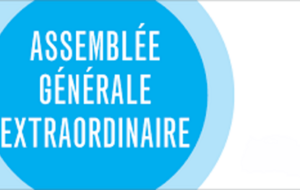 Convocation Assemblée Générale Extraordinaire - 14 avril 2026 - 19 heures