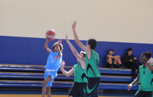 VAL DE SEINE BASKET - BOURG LA REINE/BAGNEUX