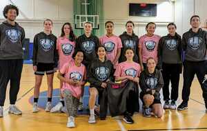 POLE BASKET 77-91 - VAL DE SEINE BASKET