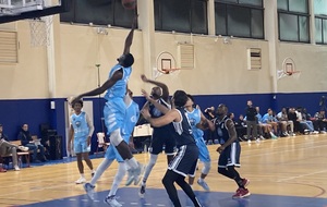 VAL DE SEINE BASKET - LEVALLOIS SCB