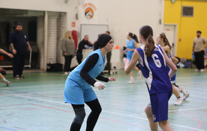 VAL DE SEINE BASKET - CHATILLON