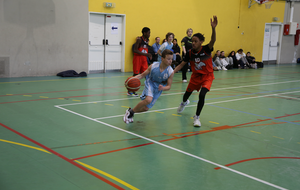 VAL DE SEINE BASKET - COLOMBES