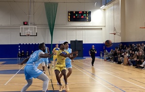 VAL DE SEINE BASKET - GRANDE SYNTHE