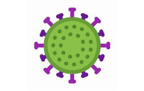 Info Coronavirus 2